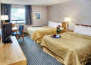 Mini-hôtel Comfort Hamilton