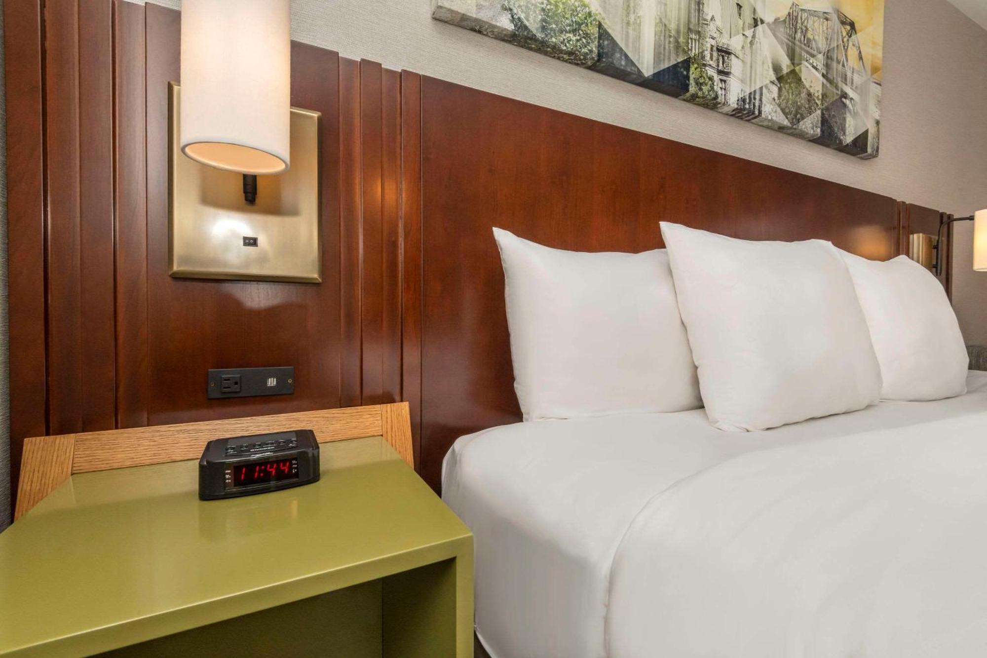 Comfort Mini-hôtel Hamilton
